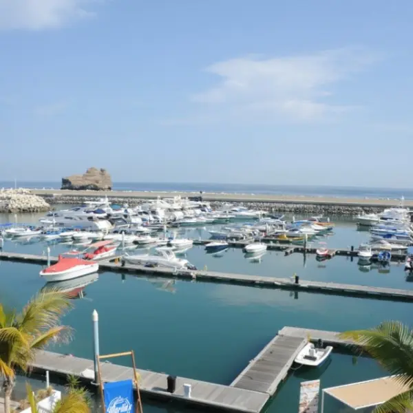 بندر الروضة