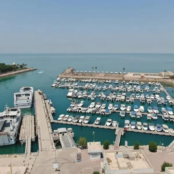 مارينا رأس الأرض